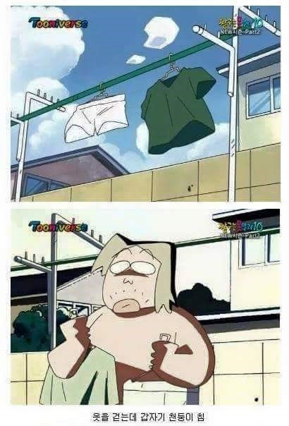 도토들이 그토록 오수를 싫어하는 이유 2018718중 하나 | 인스티즈