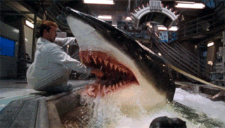 딥 블루 씨 여러가지짤 (영화) | 인스티즈