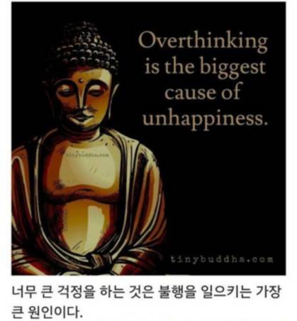 자존감을 높여주는 부처의 명언들.jpg | 인스티즈