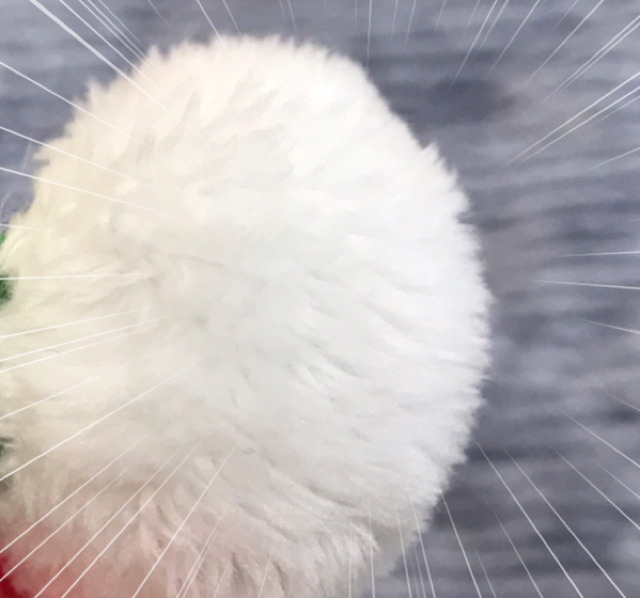 수호랑 반다비 인형 놀이 | 인스티즈