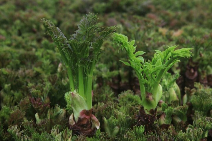 군대 행정보급관들이 가장 좋아하는 것 | 인스티즈