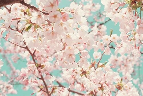 부재는 존재를 증명한다 | 인스티즈