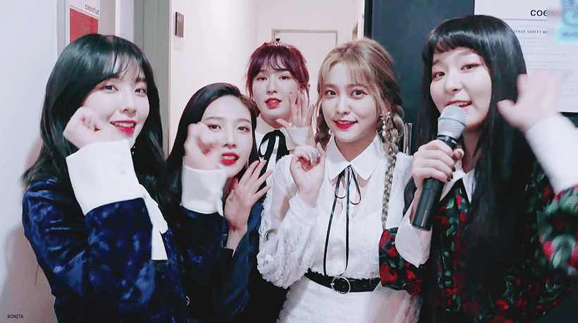 레드벨벳 벨벳 나이트 | 인스티즈