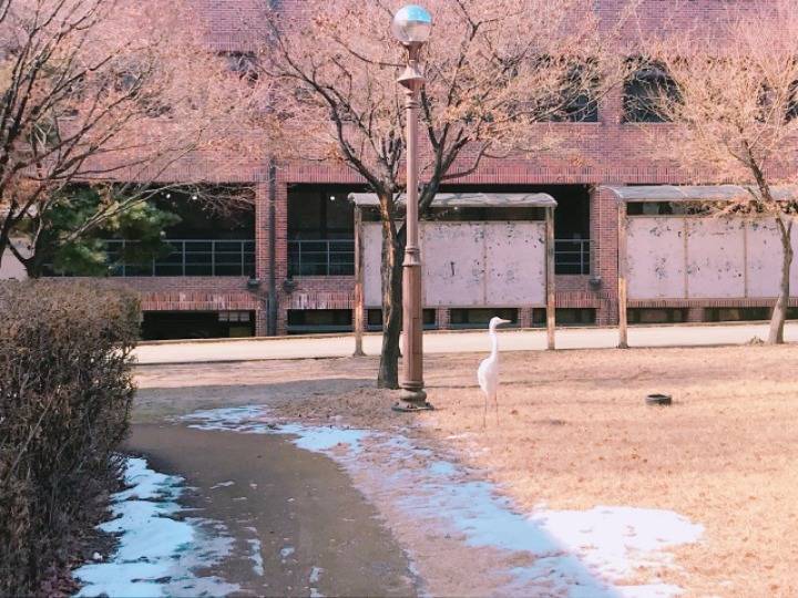 대학 에코 캠퍼스 甲.jpg | 인스티즈