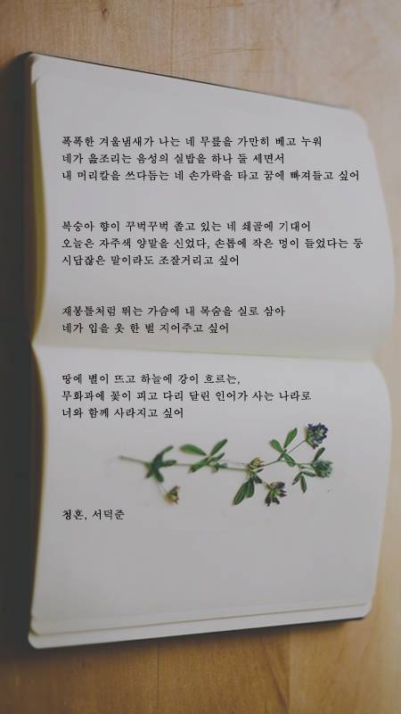 예쁜 시 구절이 적힌 폰배경화면 열두 번째.jpg | 인스티즈