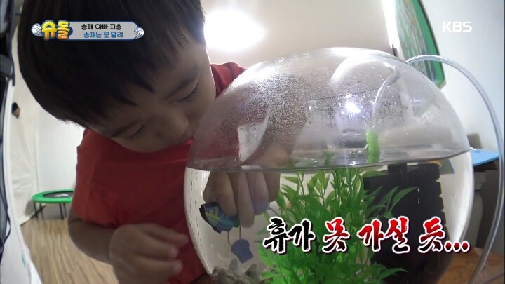 아빠의 중요 파일이 담긴 죽은 물고기를 어항에 넣어준 승재.jpg | 인스티즈