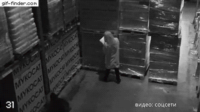 곰이 뒤에서 덥치려고 할때 벗어나는 방법.gif | 인스티즈