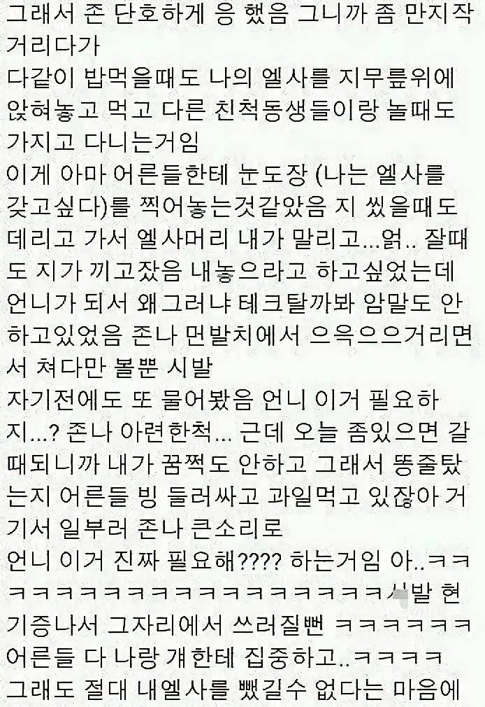 사촌동생에게 엘사인형 뺏긴 썰.txt (고전주의) | 인스티즈