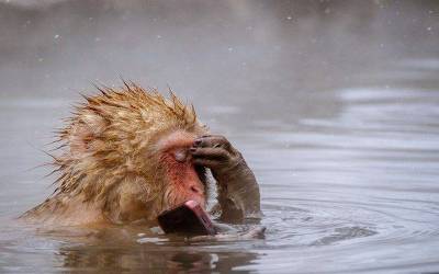 잘생겨지는 방법 | 인스티즈