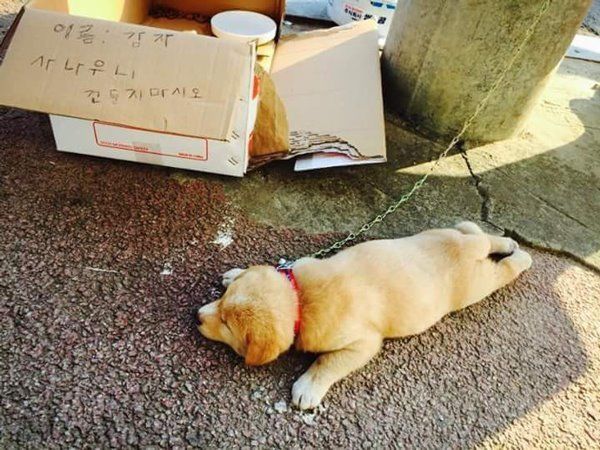 사나우니... | 인스티즈