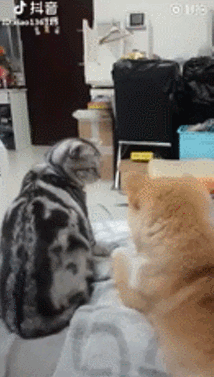 니가 그랬잖아 .gif | 인스티즈