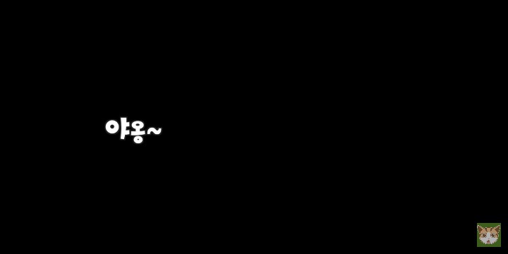 고양이 앞에서 하악질 하는 앵무새 | 인스티즈