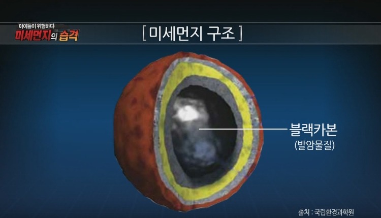 미세먼지가 위험한 진짜 이유 | 인스티즈