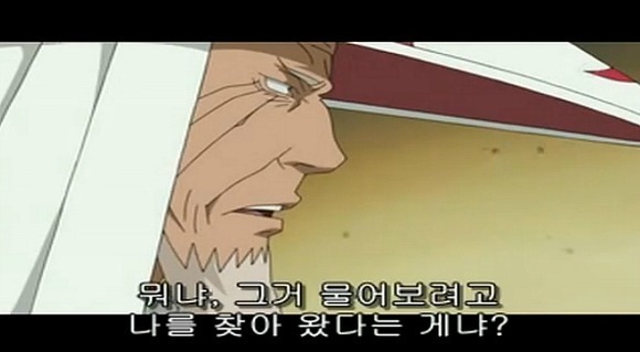 나뭇잎 마을의 졸렬함. 당신은 틀리지 않았습니다 | 인스티즈