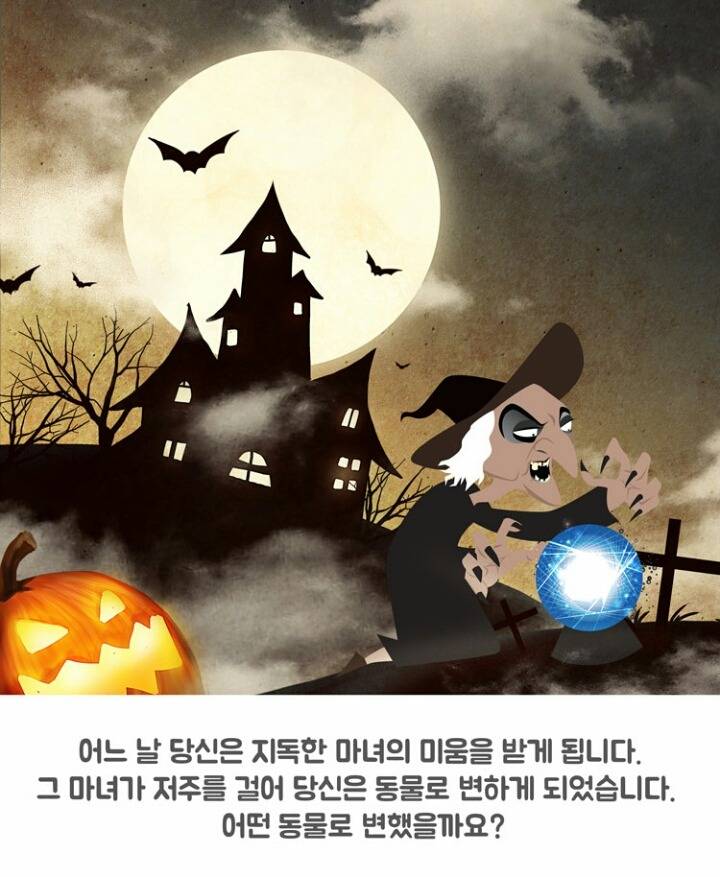 설마 나도 금사빠인가~? 본격 금사빠 테스트 | 인스티즈