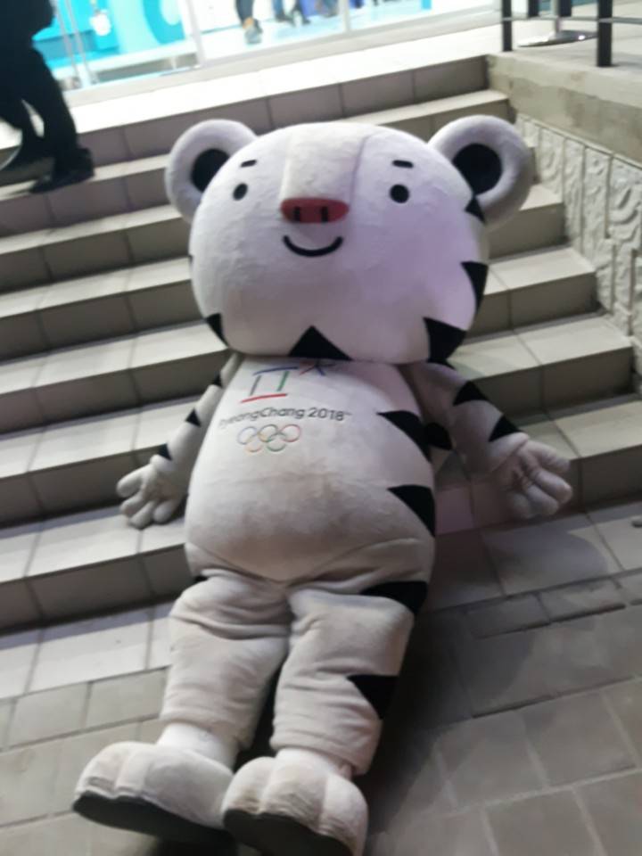 수호랑 탈 쓰고 봉사하는 자원 봉사자 | 인스티즈