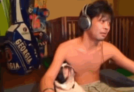 [잔인] 반려견 피살 사건 | 인스티즈