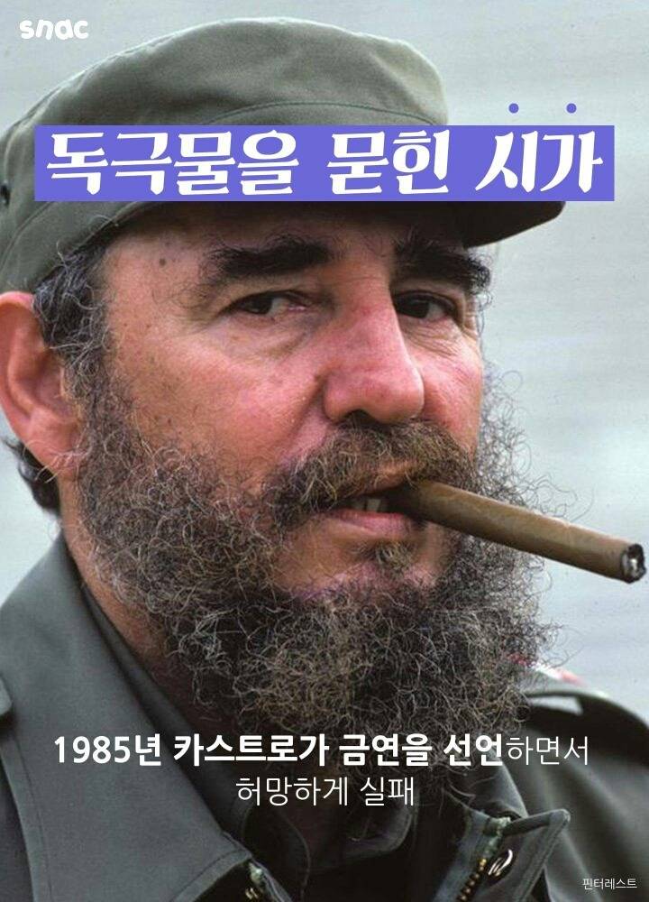 카스트로를 죽이는 638가지 방법.jpg | 인스티즈