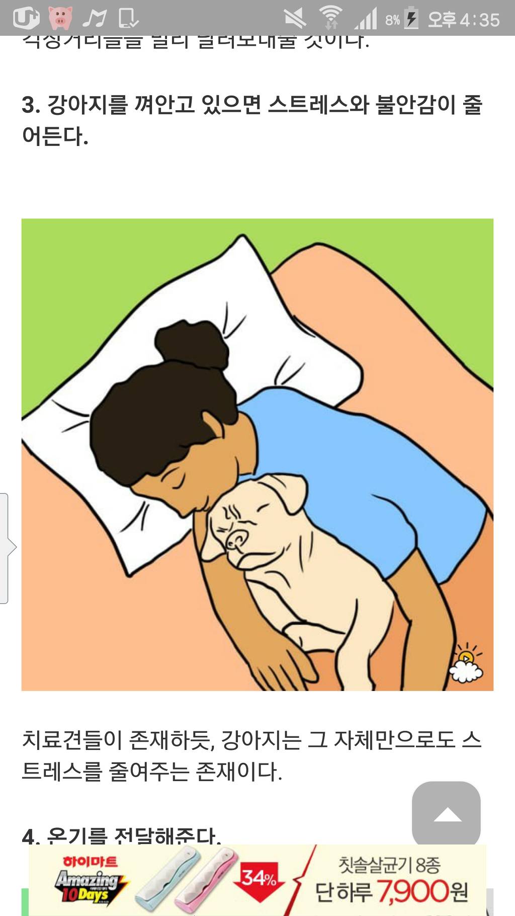 강아지와 함께자면 좋은점 7가지 | 인스티즈