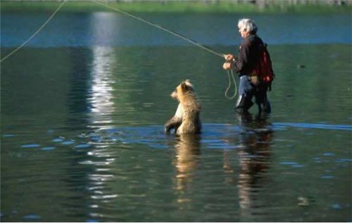 몸이 불편해도 하루에 한번 산책은 꼭 해주는 반려인간.gif | 인스티즈