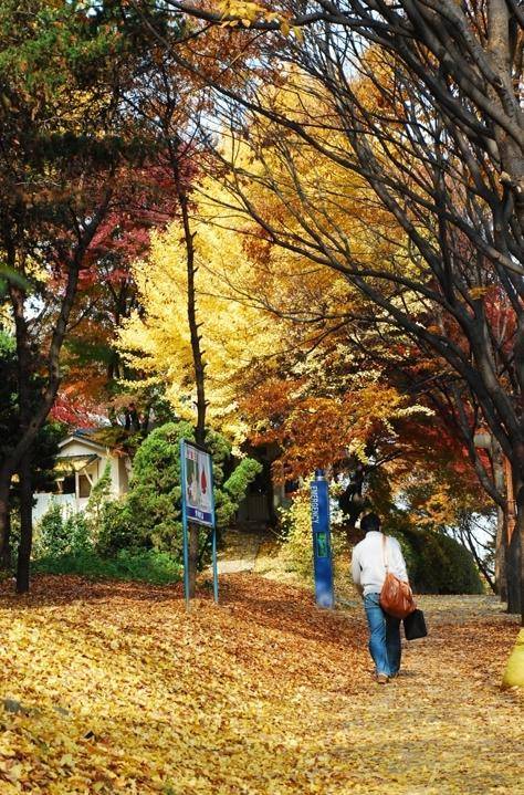 1학기 개강 VS 2학기 개강 // 여시들이 더 좋아하는 느낌은? | 인스티즈