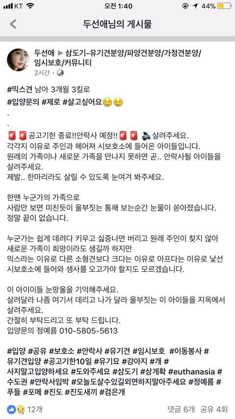 낼 안락사인데 문의한통 없대ㅠㅠㅠ 아직 살날이 훨씬 많은 아가들 제발 보구가줘!!.. | 인스티즈