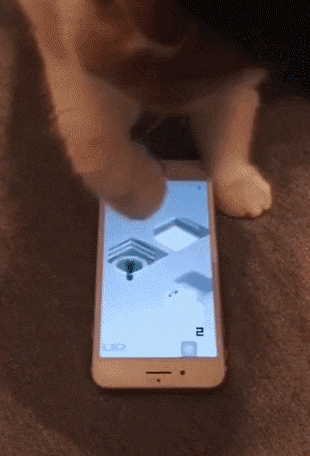 게임하자냥 | 인스티즈