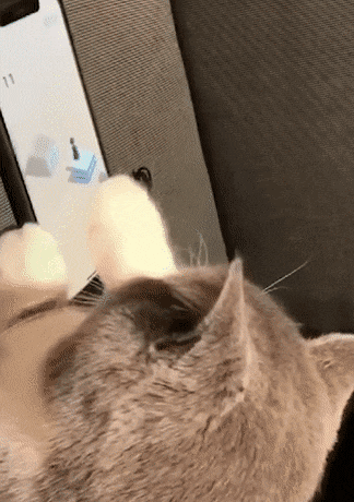 게임하자냥 | 인스티즈