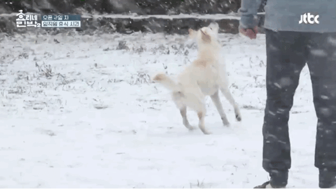 [효리네민박2] 2화에서 많은 사람들이 힐링한 장면.gif | 인스티즈