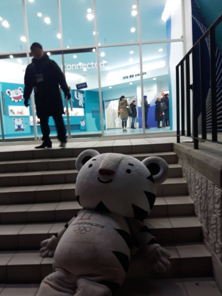 수호랑 탈 쓰고 봉사하는 자원 봉사자 | 인스티즈