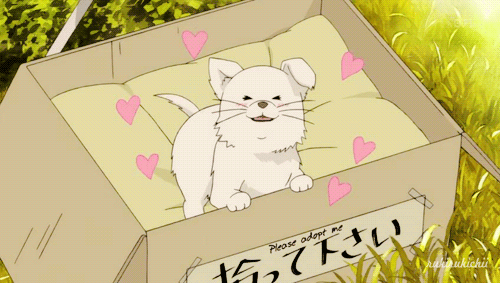 2D 강아지 (움짤多/ | 인스티즈