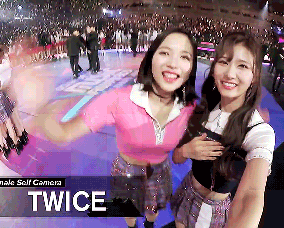 웃는게 좀 귀여운 오사카 시바견 | 인스티즈