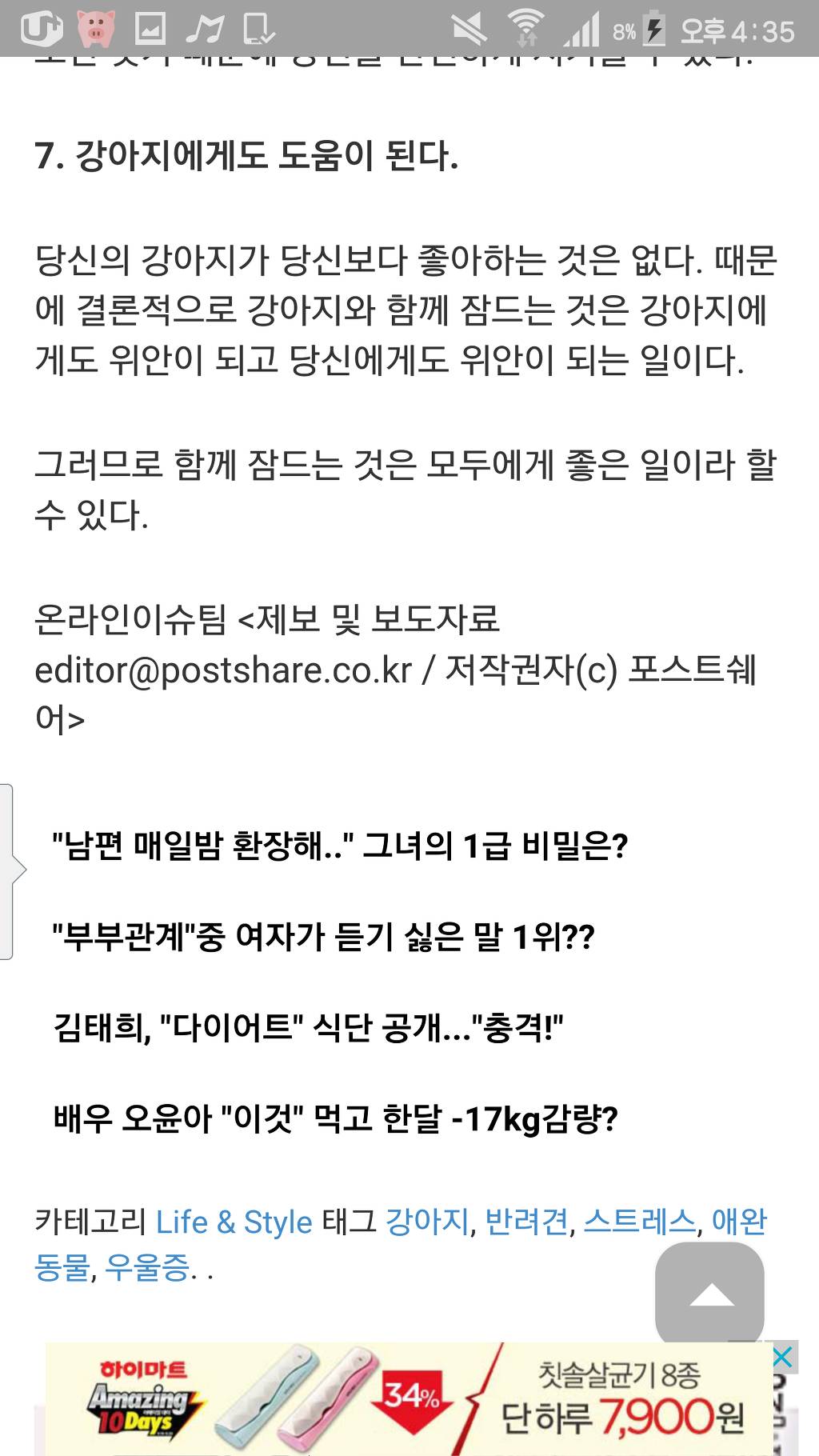 강아지와 함께자면 좋은점 7가지 | 인스티즈