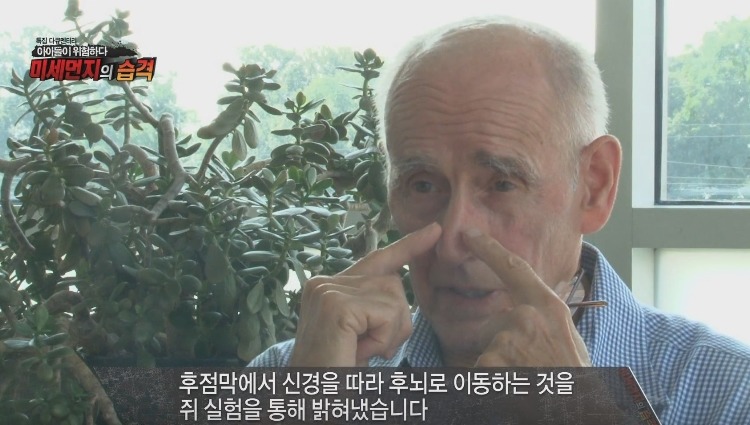 미세먼지가 위험한 진짜 이유 | 인스티즈