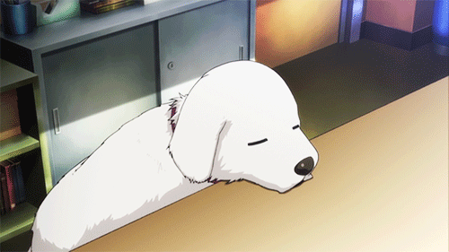 2D 강아지 (움짤多/ | 인스티즈