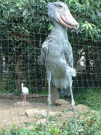 국내 허언검증4대장 | 인스티즈