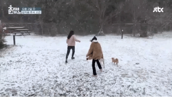 [효리네민박2] 2화에서 많은 사람들이 힐링한 장면.gif | 인스티즈