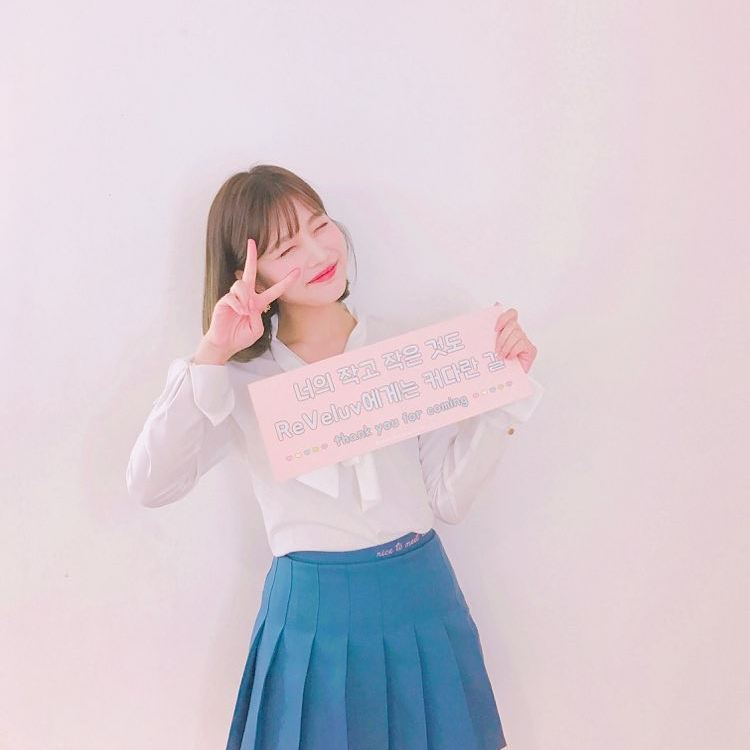 2017년 마지막 날이라서 레드벨벳 | 인스티즈