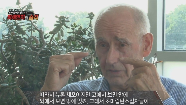 미세먼지가 위험한 진짜 이유 | 인스티즈