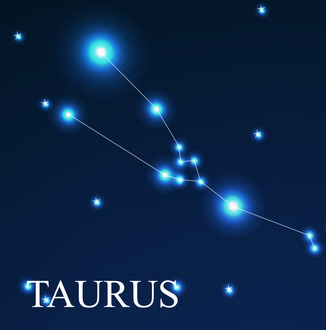 재미로 보는 나의 별자리 알아보기 | 인스티즈