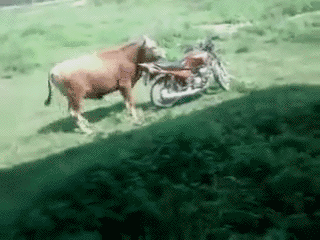 불스원샷.gif | 인스티즈