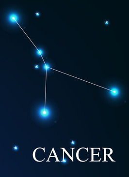 재미로 보는 나의 별자리 알아보기 | 인스티즈