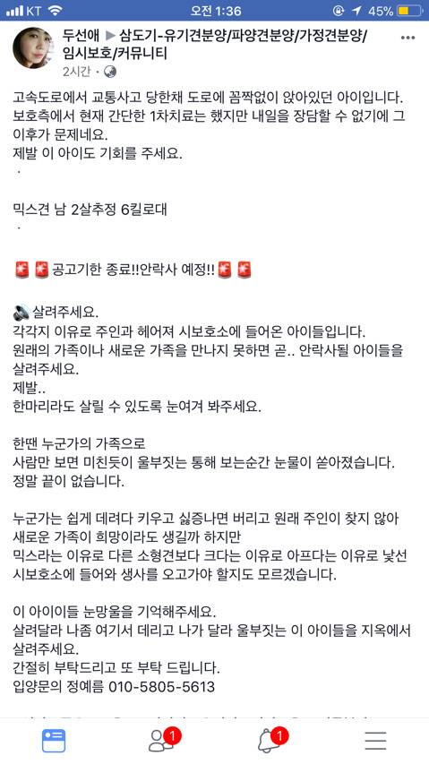 낼 안락사인데 문의한통 없대ㅠㅠㅠ 아직 살날이 훨씬 많은 아가들 제발 보구가줘!!.. | 인스티즈