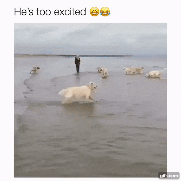 넌 예수님이 아니야 | 인스티즈