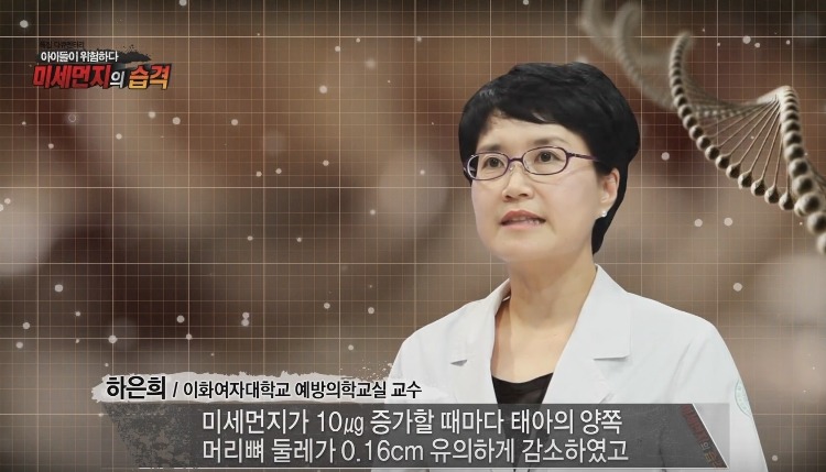 미세먼지가 위험한 진짜 이유 | 인스티즈