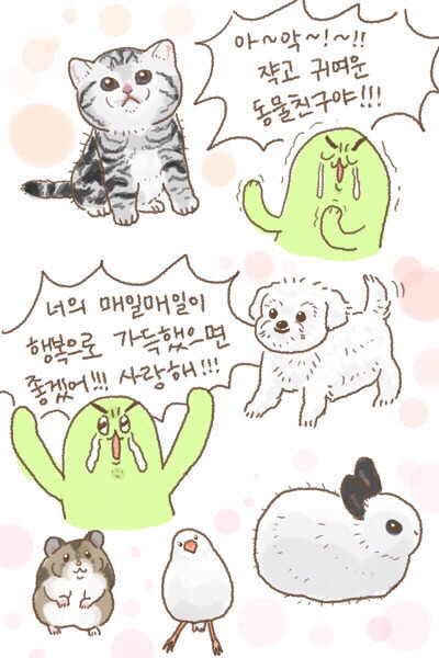 공평하게 자기전에 봐야할 댕댕이 모음 | 인스티즈