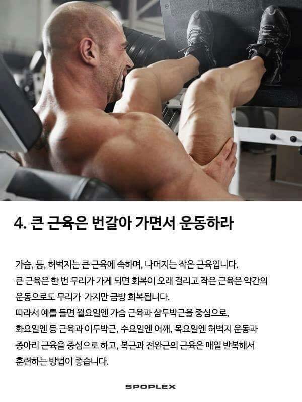 근육운동의 기본 | 인스티즈