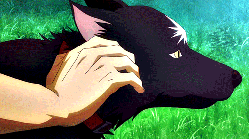 2D 강아지 (움짤多/ | 인스티즈