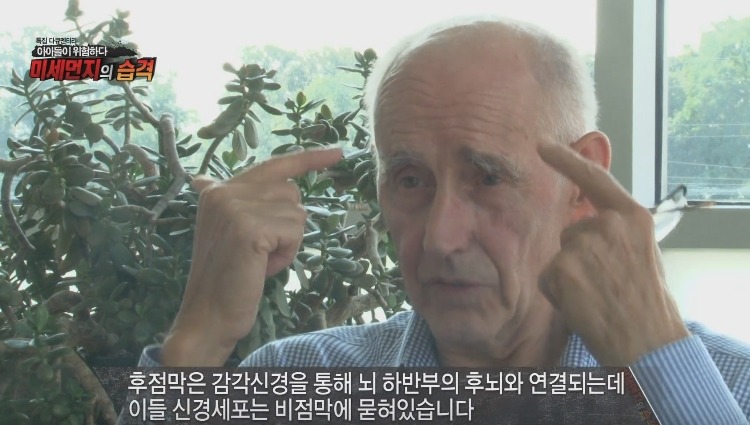 미세먼지가 위험한 진짜 이유 | 인스티즈