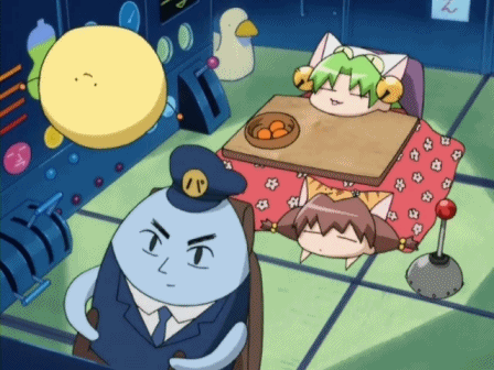 강아지 스트레칭을 고양이에게 시켜보았다.twt | 인스티즈